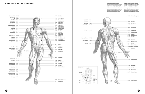 Sample pages from 'The Art of Ground Fighting'; one in a series of remarkable books that provide an in-depth look at the core concepts and techniques shared by a broad range of martial arts styles. Contains basics plus over 195 practical skills including chokes, joint locks, pins, ground kicks, sacrifice techniques, escapes, and counters from seated, reclining, and kneeling positions.