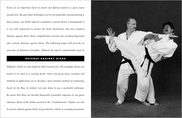 Sample pages from 'The Art of Striking'; one in a series of remarkable books that provide an in-depth look at the core concepts and techniques shared by a broad range of martial arts styles. Contains over 400 practical strikes including arm strikes, kicks, head butts, blocking and avoiding skills, combinations, and counters.