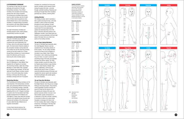 Sample pages from 'Essential Anatomy for Healing and Martial Arts'; a unique book that familiarizes healing practitioners and martial artists with basic concepts of the human body, as defined by both Western and Eastern medical traditions. Comprehensive, easy to understand, and lavishly illustrated in full color. Specially designed for students, healing professionals, and martial artists.