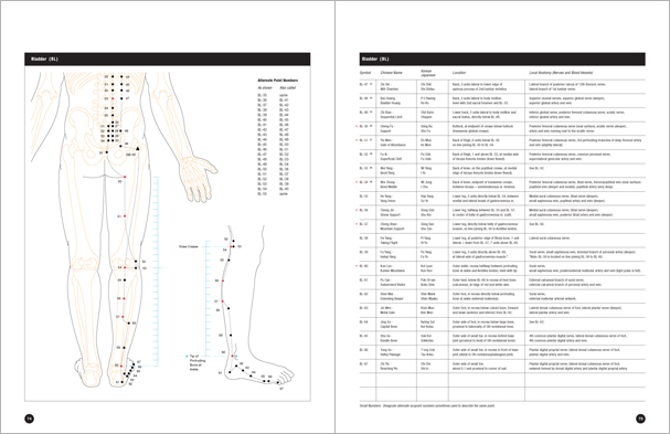 Sample pages from 'Essential Anatomy for Healing and Martial Arts'; a unique book that familiarizes healing practitioners and martial artists with basic concepts of the human body, as defined by both Western and Eastern medical traditions. Comprehensive, easy to understand, and lavishly illustrated in full color. Specially designed for students, healing professionals, and martial artists.