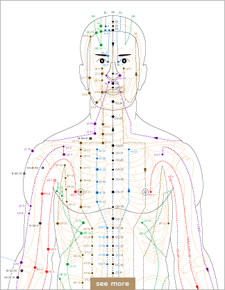 Picture of Essential Acupoints Poster by Marc Tedeschi; an exceptionally high-quality, 27 by 40 inch poster illustrating the acupoints and meridians that are the foundation of Eastern medicine and the martial arts.