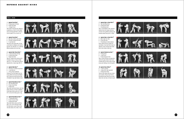 Sample pages from Hapkido Manuals by Marc Tedeschi, an invaluable series of concise affordable study-guides summarizing all Hapkido belt ranks, from novice to master-level.