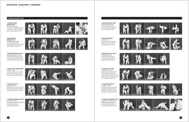 Sample pages from Hapkido Manuals by Marc Tedeschi, an invaluable series of concise affordable study-guides summarizing all Hapkido belt ranks, from novice to master-level.