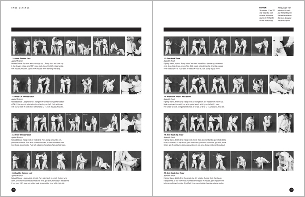 Sample pages from Hapkido Manuals by Marc Tedeschi, an invaluable series of concise affordable study-guides summarizing all Hapkido belt ranks, from novice to master-level.