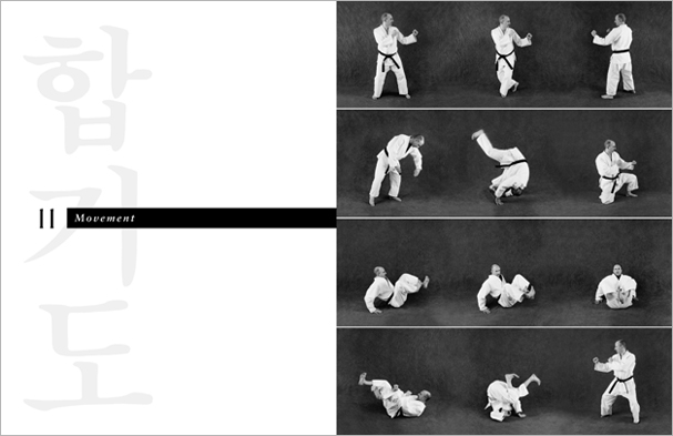 Sample pages from 'Hapkido', the most comprehensive book ever written on a single martial art; 1136 pages, 9000 photos, 2000 martial techniques.