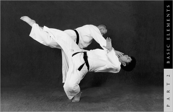 Sample pages from 'Hapkido: An Introduction to the Art of Self-Defense', the first introductory text to provide a concise overview of Hapkido in its entirety, with essential material for novices.