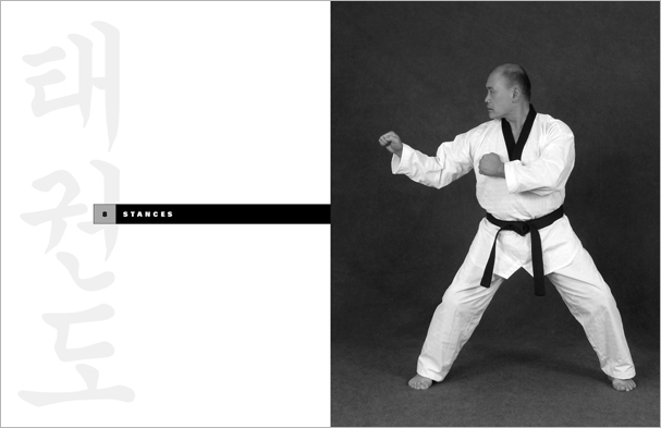 Sample pages from 'Taekwondo', the most comprehensive book ever written on the world's most popular martial art; 896 pages, 8600 photos, Traditional and Olympic-Style.