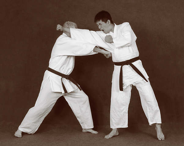 Hapkido photos of Master Marc Tedeschi performing Hapkido techniques