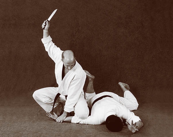 Hapkido photos of Master Marc Tedeschi performing Hapkido techniques