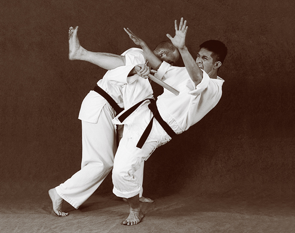 Hapkido photos of Master Marc Tedeschi performing Hapkido techniques