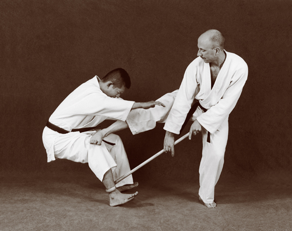 Hapkido photos of Master Marc Tedeschi performing Hapkido techniques